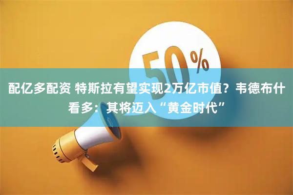 配亿多配资 特斯拉有望实现2万亿市值？韦德布什看多：其将迈入“黄金时代”