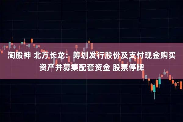 淘股神 北方长龙：筹划发行股份及支付现金购买资产并募集配套资金 股票停牌