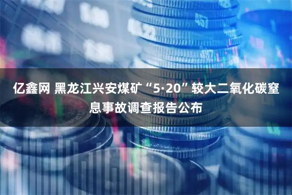亿鑫网 黑龙江兴安煤矿“5·20”较大二氧化碳窒息事故调查报告公布