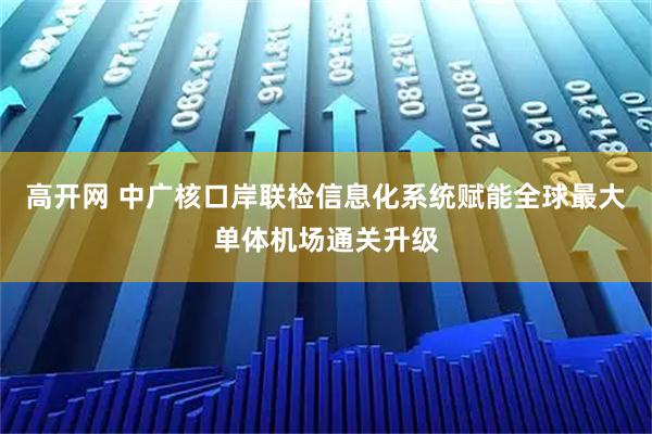 高开网 中广核口岸联检信息化系统赋能全球最大单体机场通关升级