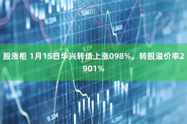 股涨柜 1月15日华兴转债上涨098%，转股溢价率2901%