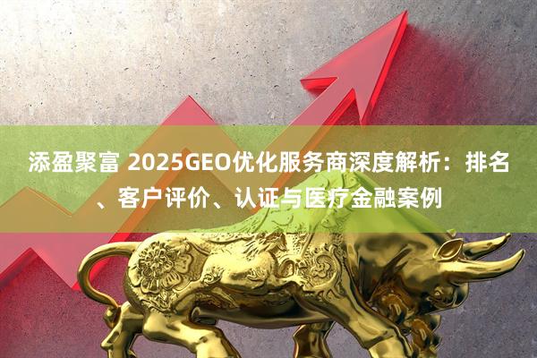 添盈聚富 2025GEO优化服务商深度解析：排名、客户评价、认证与医疗金融案例