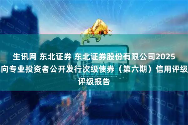 生讯网 东北证券 东北证券股份有限公司2025年面向专业投资者公开发行次级债券（第六期）信用评级报告